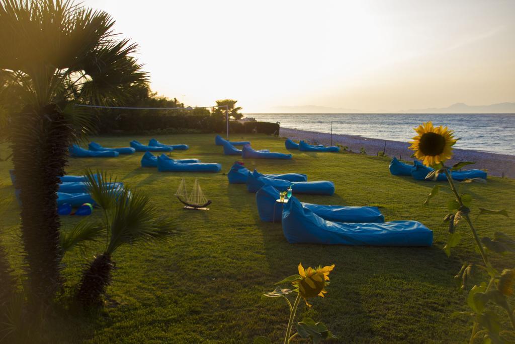 Area Blue Beach Apartments Ialysos  Dış mekan fotoğraf